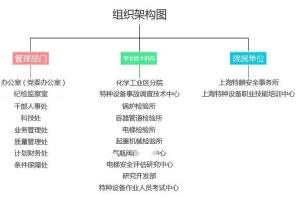 上海特检院组织架构