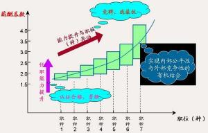 宽带薪酬相关示意图