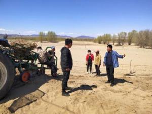 吐列毛杜镇建设工作