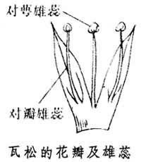 晶体学点群