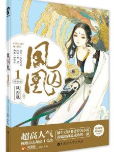 天衣有风作品