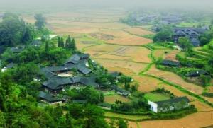 乡村田园