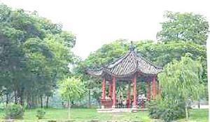 王因镇