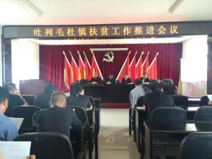 吐列毛杜镇工作会议