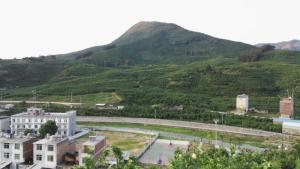 平和县