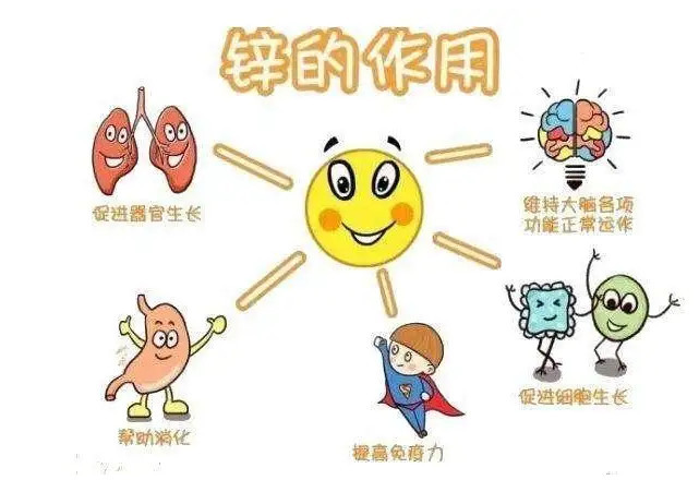 补锌(补充微量元素锌)
