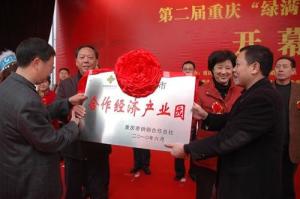 重庆市供销合作总社