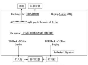 即期汇票（样本）