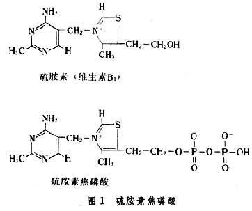 水溶性维生素b1(硫胺素)化学结构式