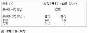 遗传学三大基本定律