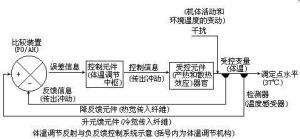 体温调节反射与负反馈控制系统示意图