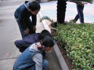 鼠妇对光的敏感