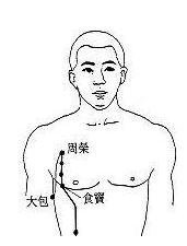 食窦