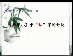 什么样的笋芽儿 300