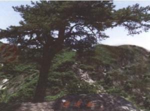 终南山