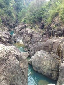 万峰林场黄竹窝