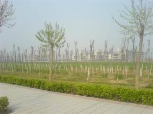 石家庄信息工程职业学院 学院景色