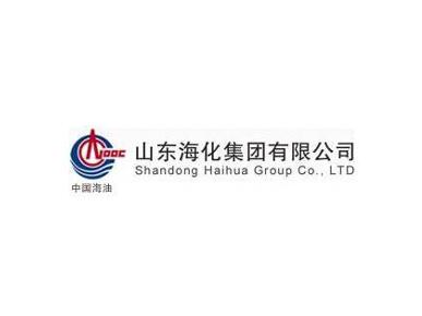 山东海化