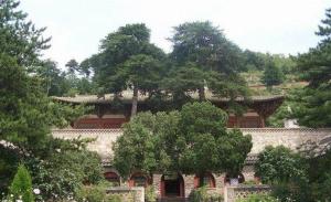 奈良大学