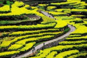 胥岭风光