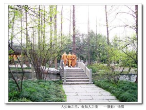 花港观鱼