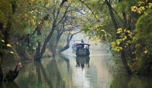 摇橹船上赏景