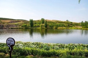 莒南县沭河