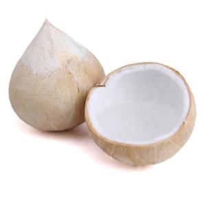 椰皇
