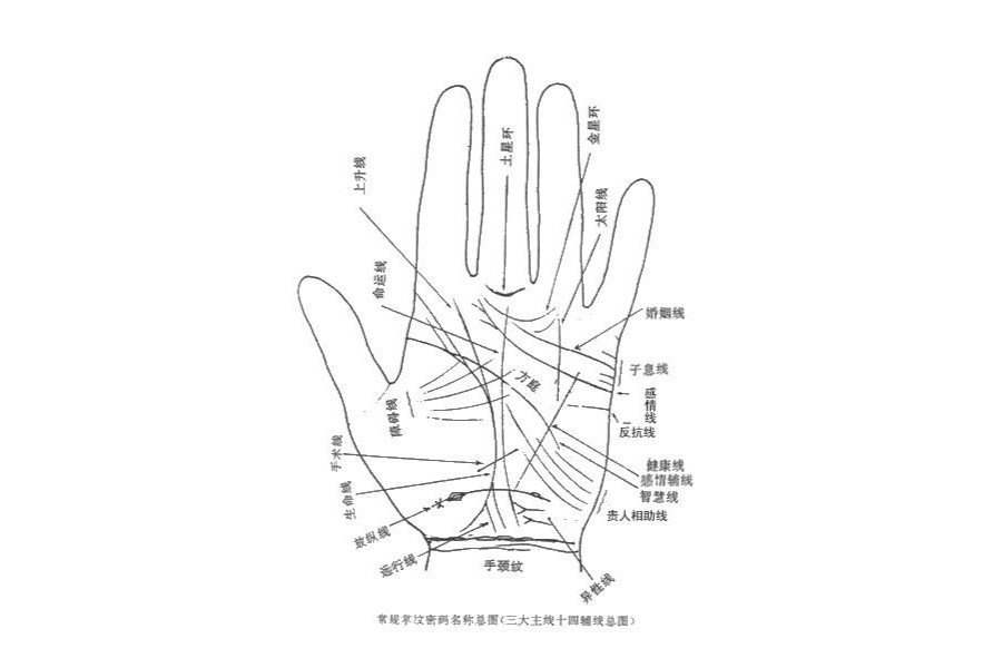 手相学 手相术语 搜狗百科