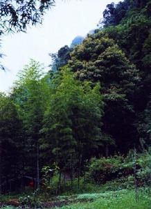 新开地乡