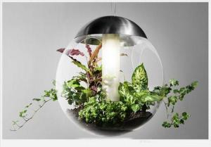 瑞典绿植家具公司空中花园吊灯
