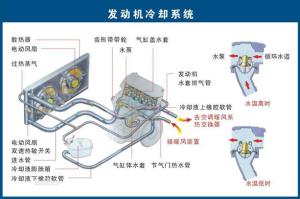 汽车养护用品