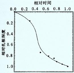 相对扎根深度