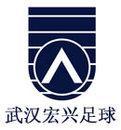 武汉市宏兴柏润足球俱乐部