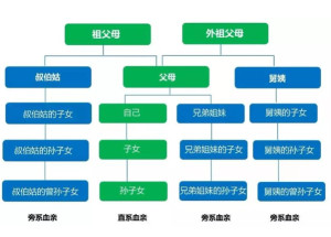 近姻亲关系