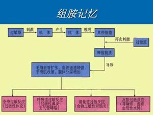 组胺