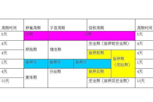 生理期 搜狗百科 生理期 搜狗百科