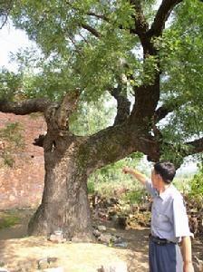 铜山乡