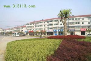 整齐划一的泗安市容