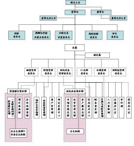 西南证券组织架构图