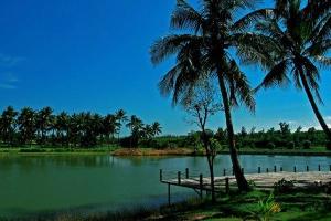 抱虎岭景心角保护区