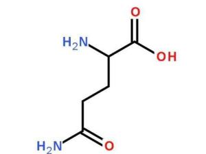 谷氨酰胺 缩写图片