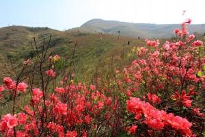 登山节