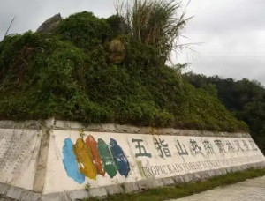 五指山