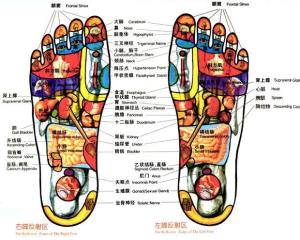 足疗的足部图册