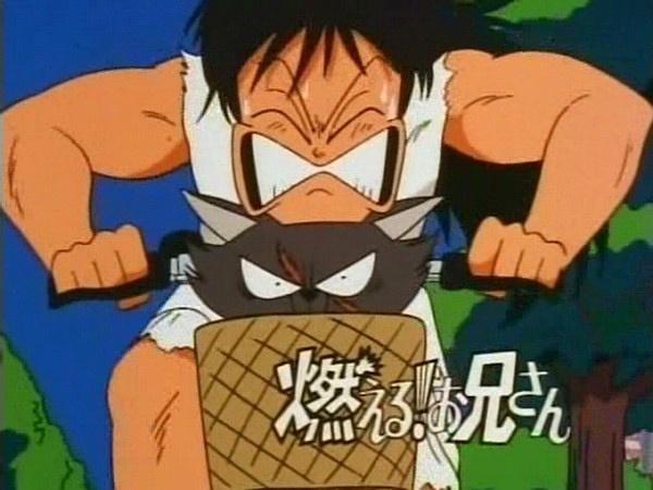 森林好小子 搜狗百科 森林好小子 搜狗百科