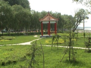 原阳县