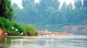 洛河