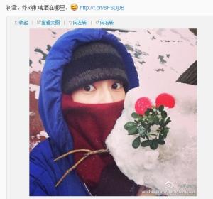 高圆圆微博