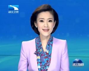 湖北新闻主播魏凌洁